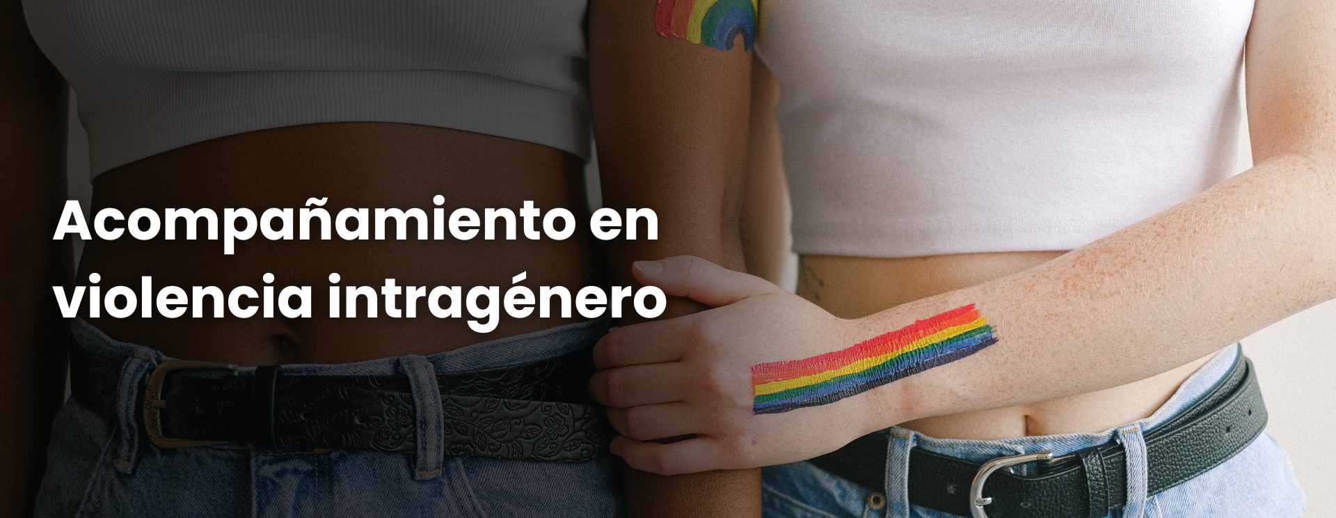Apoyo contra la violencia intragénero LGTBI - Proyecto AVI