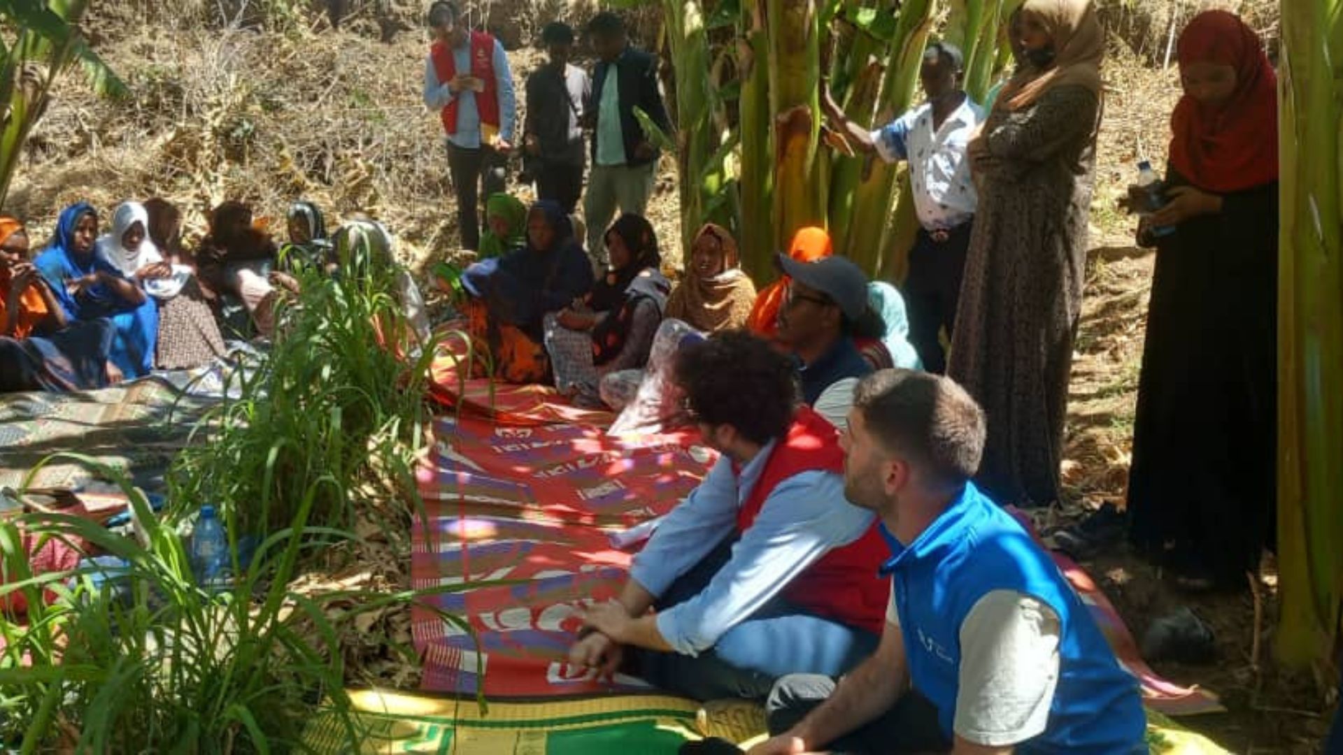 Proyecto de cooperación internacional desarrollado junto a una comunidad local